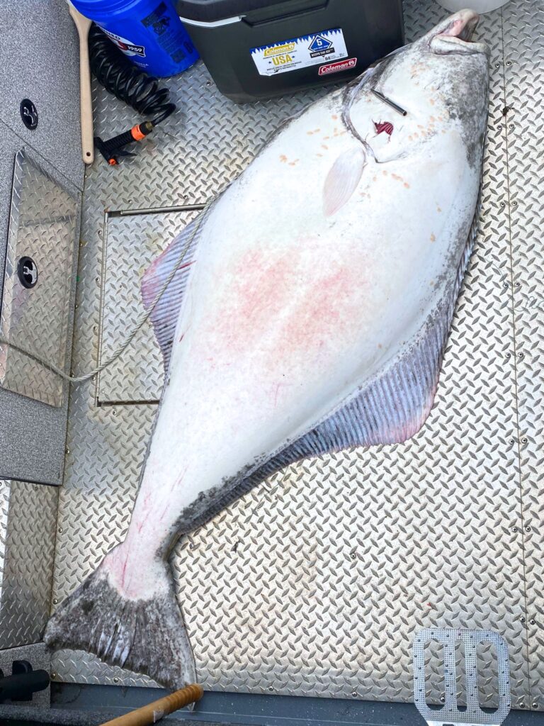 A large halibut on the deck of a small boat, net and fishing gear nearby.
